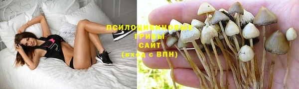 марки lsd Заволжье