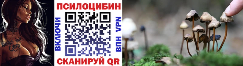 Купить закладки  Ялта  Галлюциногенные грибы Psilocybine cubensis 